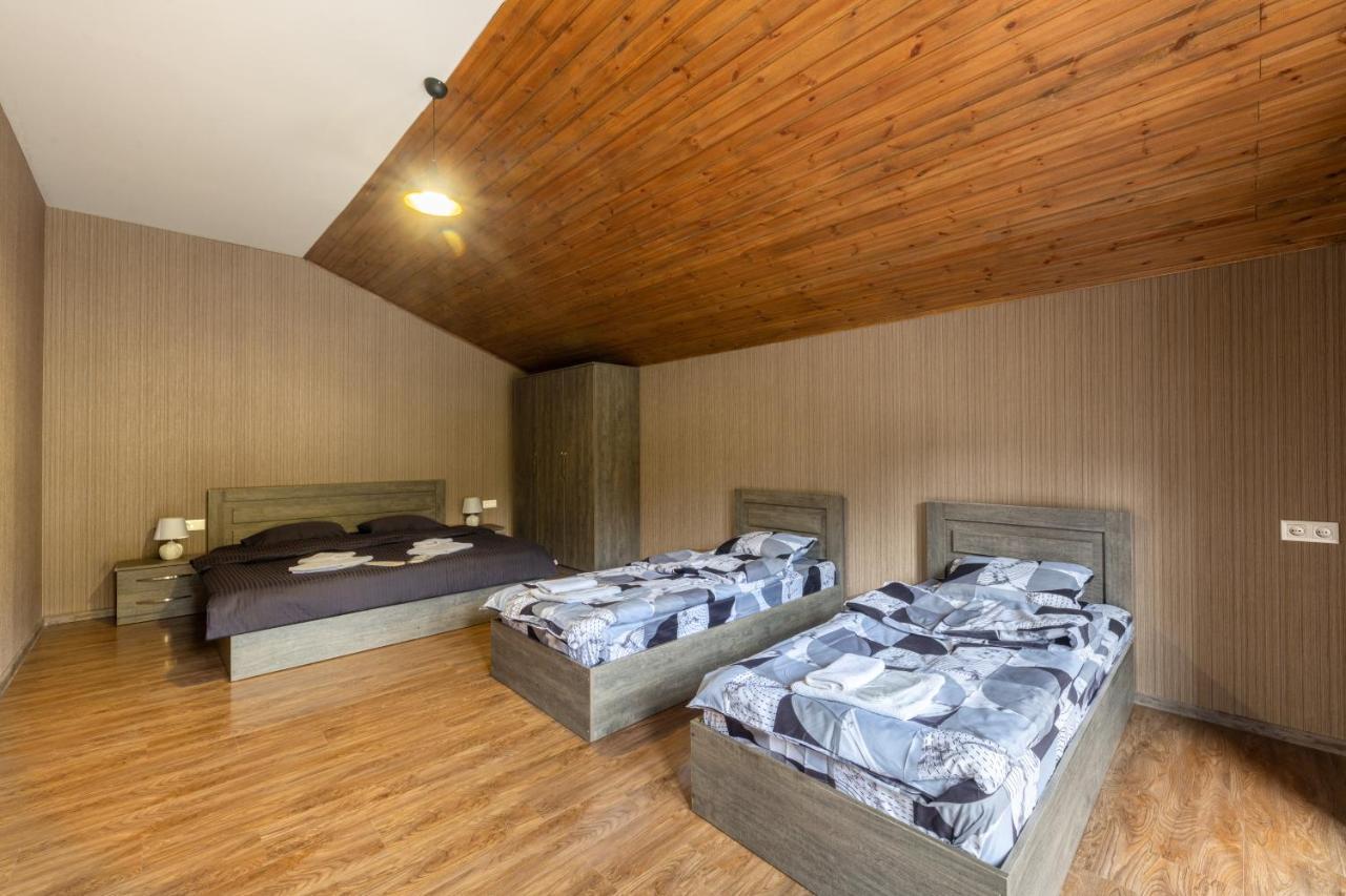 - Didveli Residence Lux Apartments - Bakouriani Extérieur photo