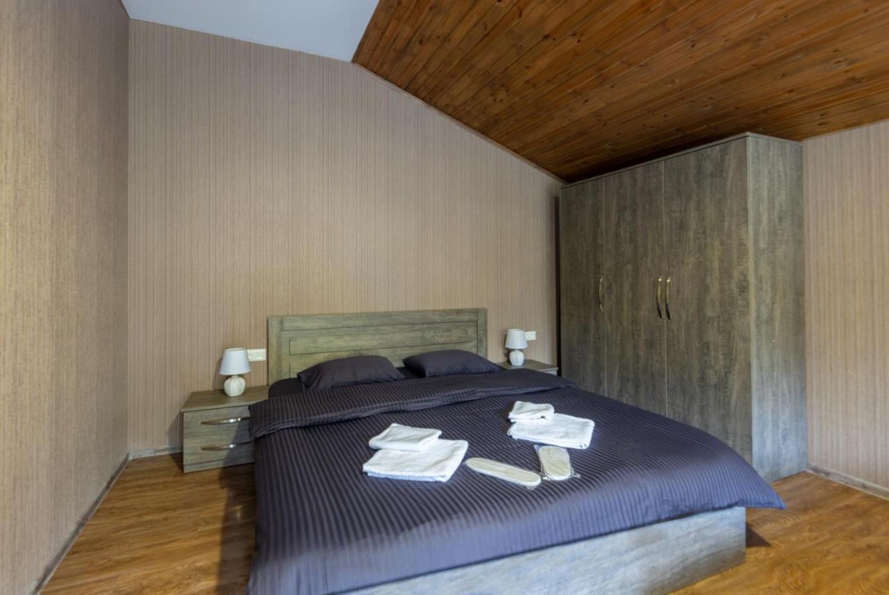 - Didveli Residence Lux Apartments - Bakouriani Extérieur photo