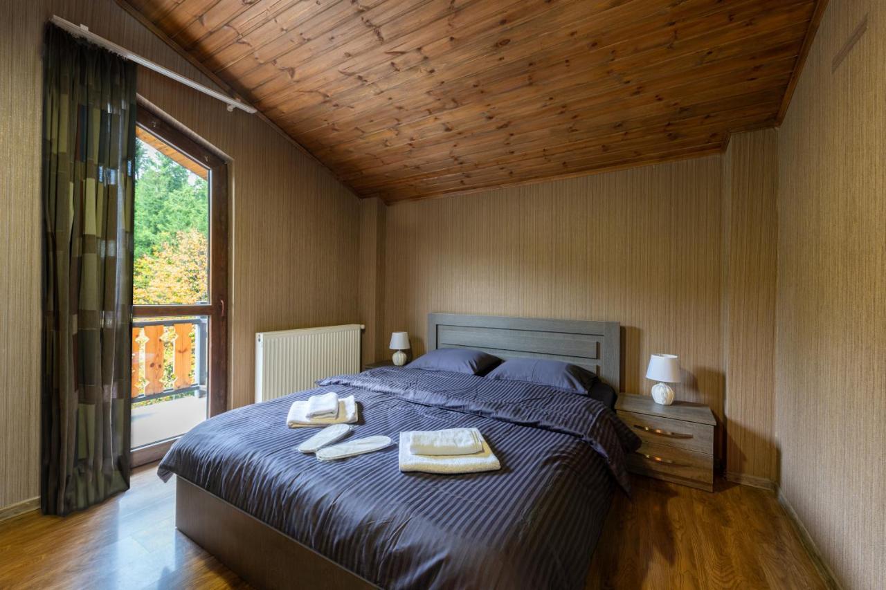 - Didveli Residence Lux Apartments - Bakouriani Extérieur photo